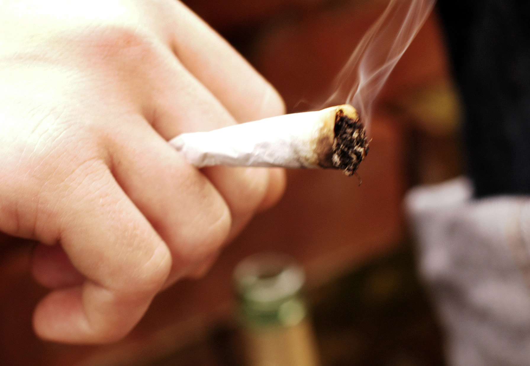 Cannabis