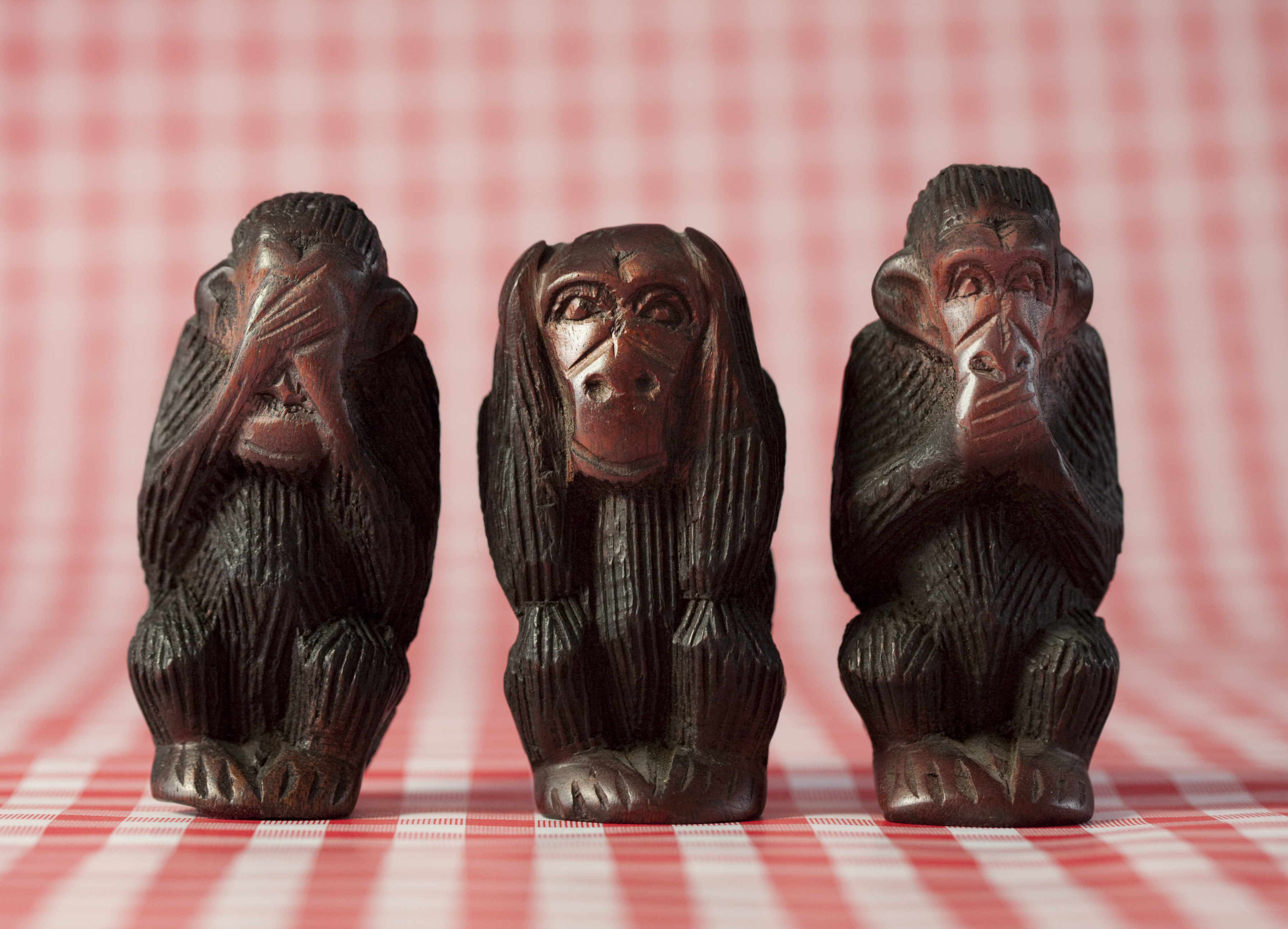 Populisten sind auch deshalb so erfolgreich, weil die Menschen die Demokratie als selbstverständlich wahrnehmen und dabei gemütlich werden. Die Initiatoren von „Redesign Democracy“ wollen sie wachrütteln.