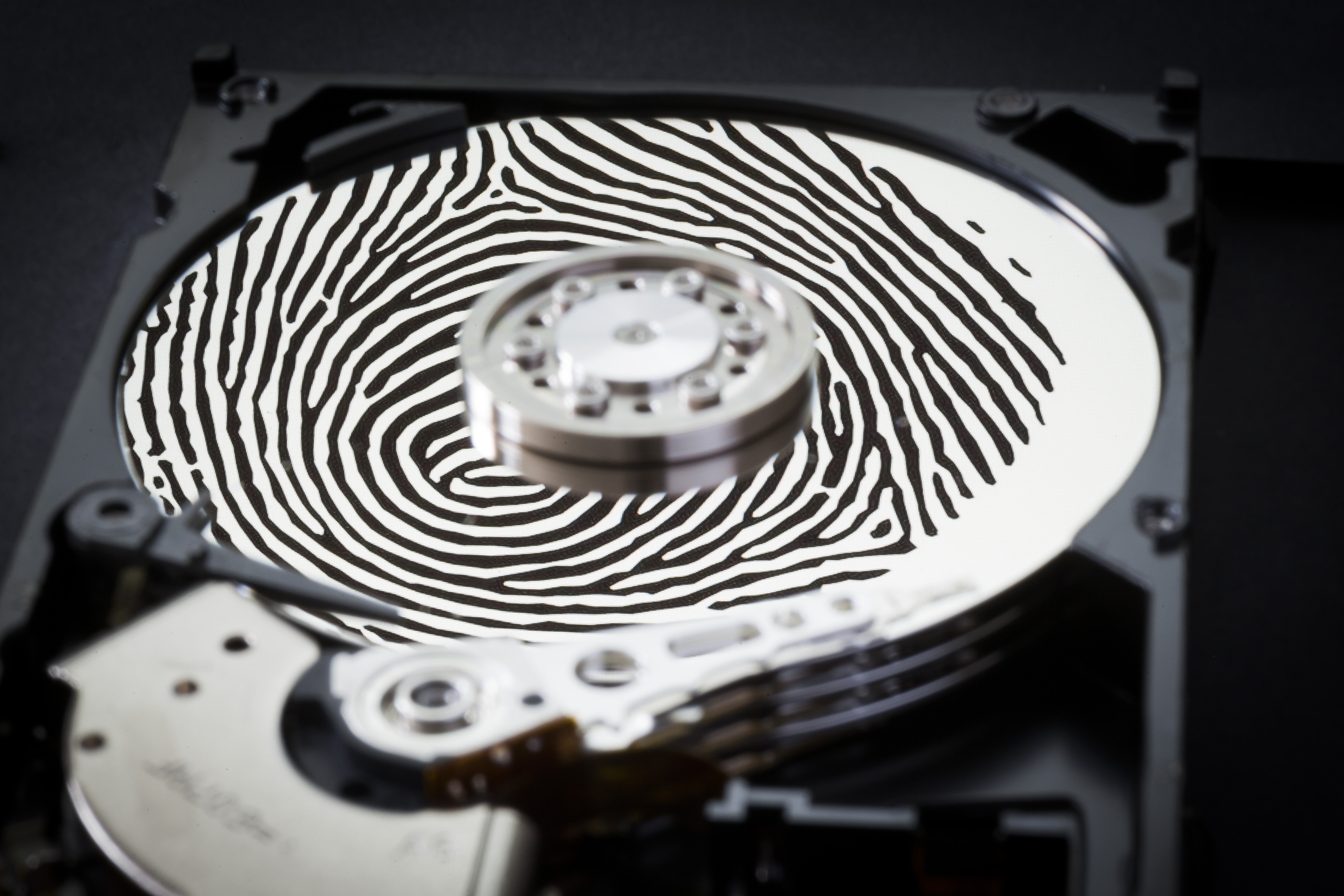 Digitaler Fingerabdruck auf der Festplatte: Die Vorratsdatenspeicherung kann einen wichtigen Beitrag zur Bekämpfung schwerer Kriminalität leisten, argumentiert Rainer Wendt.