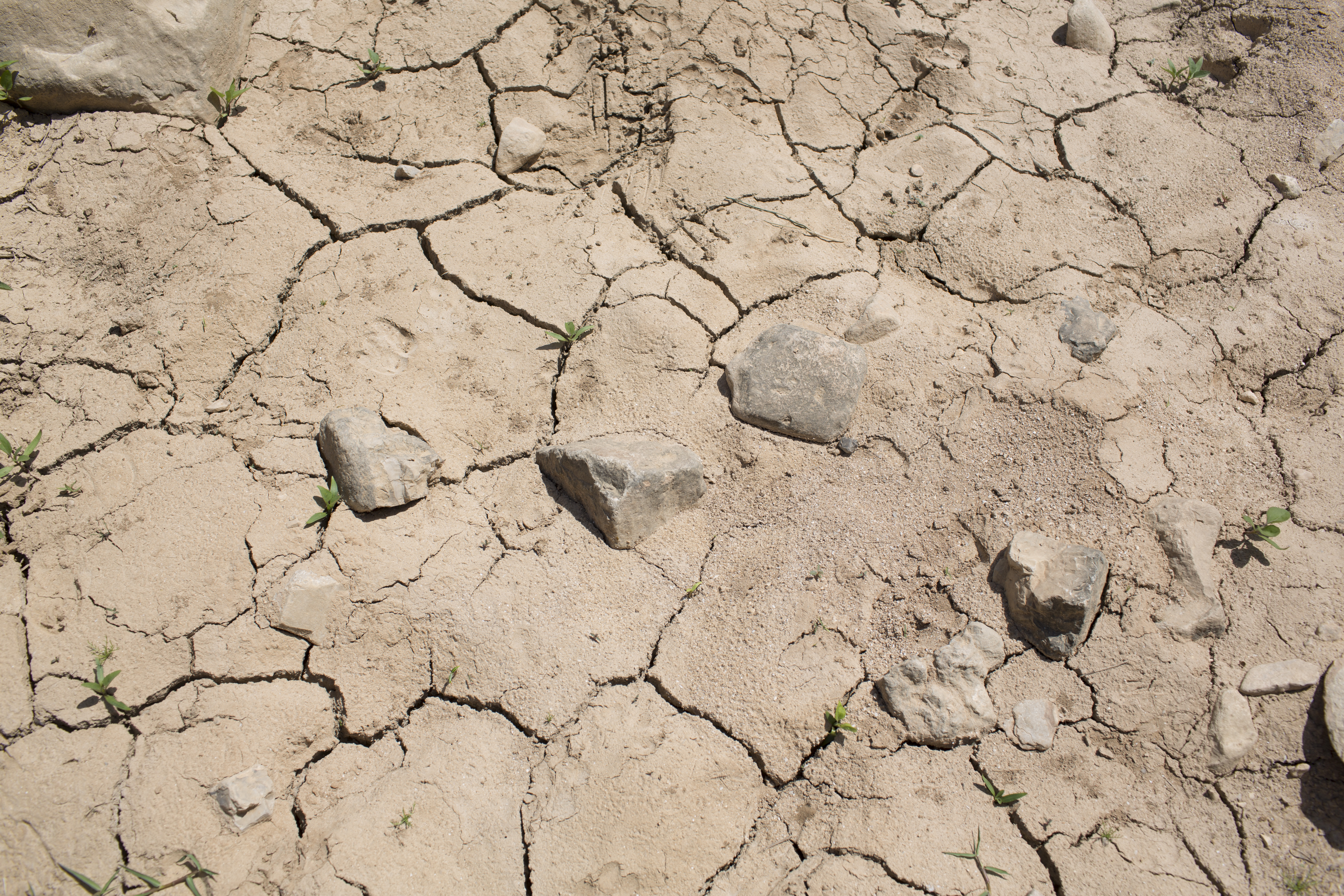 Wüstenbildung in Jordanien: Die so genannte "Desertifikation" ist eines der vielen Probleme, die der Klimawandel verursacht oder verschärft.