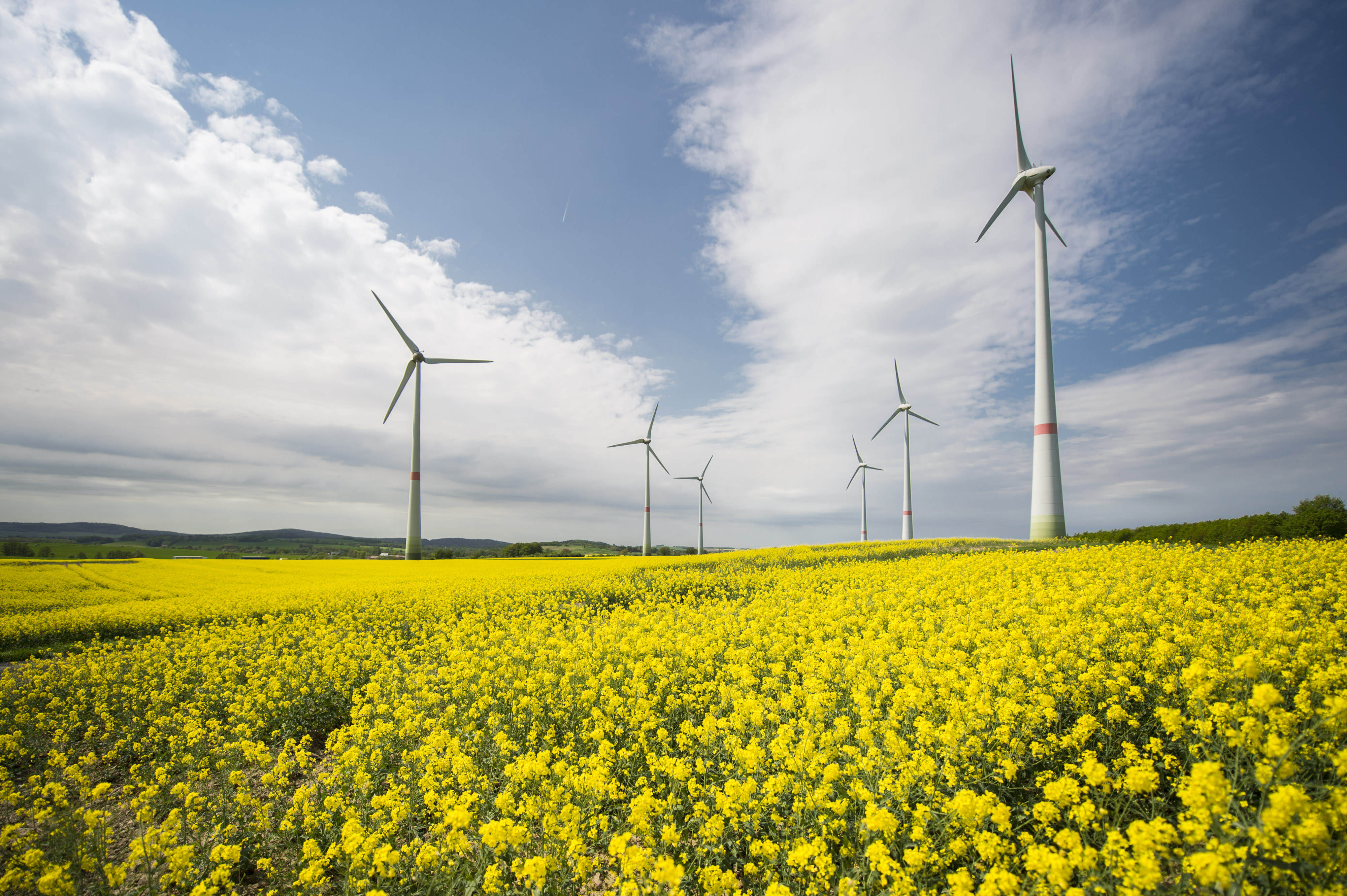 Vor 20 Jahren trat das Erneuerbare-Energien-Gesetz in Kraft. Strom aus Wind, Wasser und Sonne hat seither Vorfahrt im Netz.