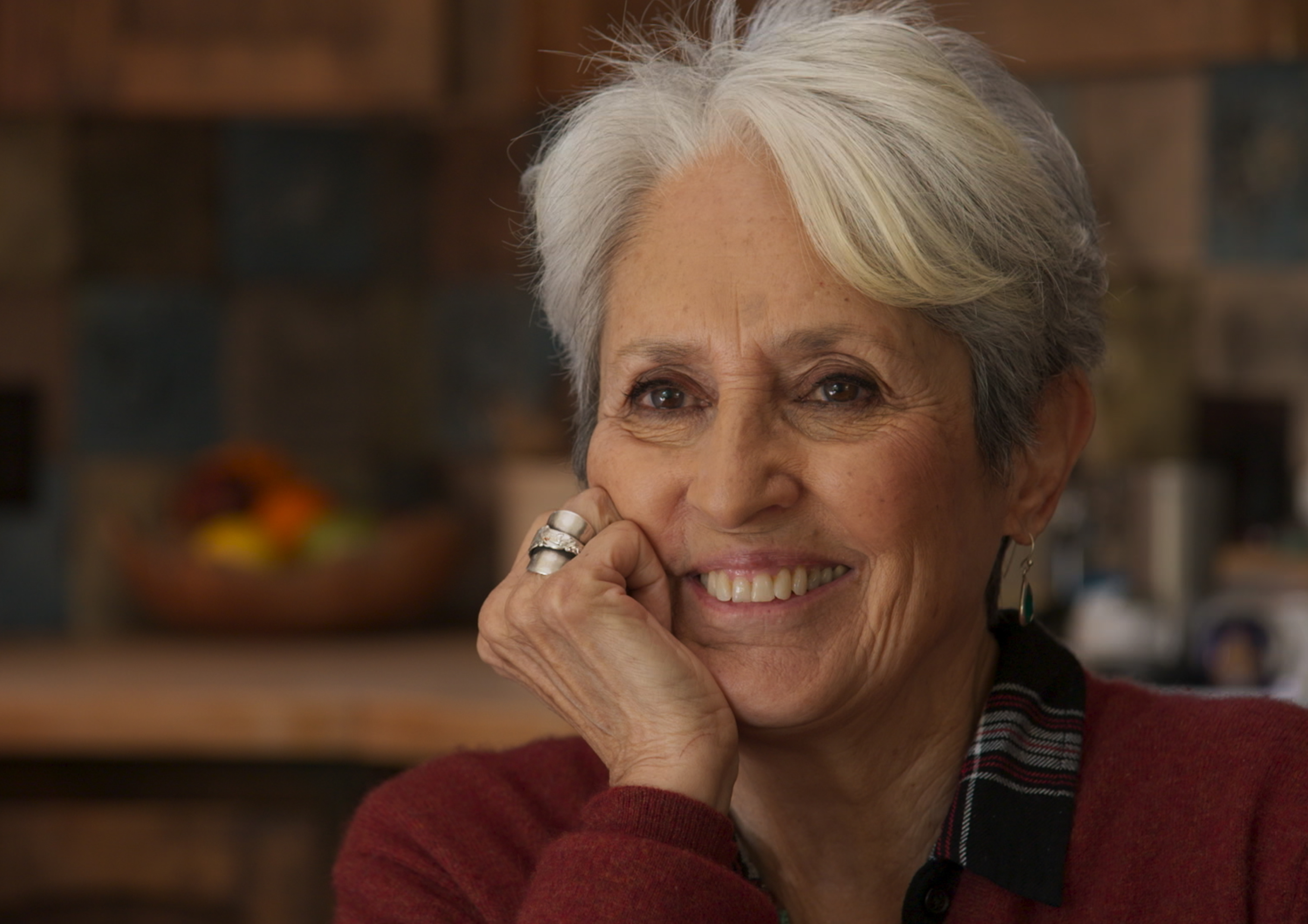 Joan Baez blickt zurück