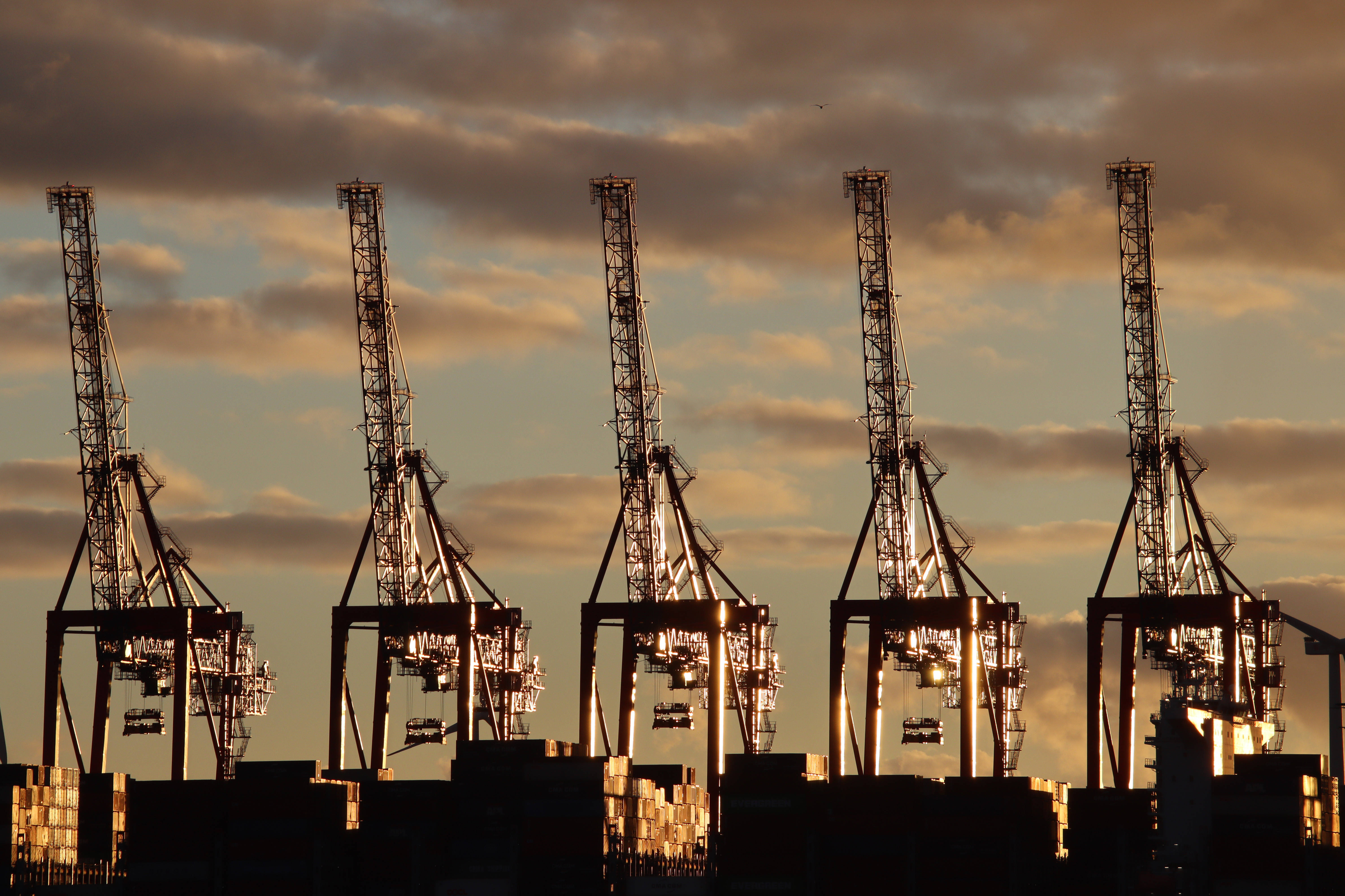 Containerbrücken im Hamburger Hafen