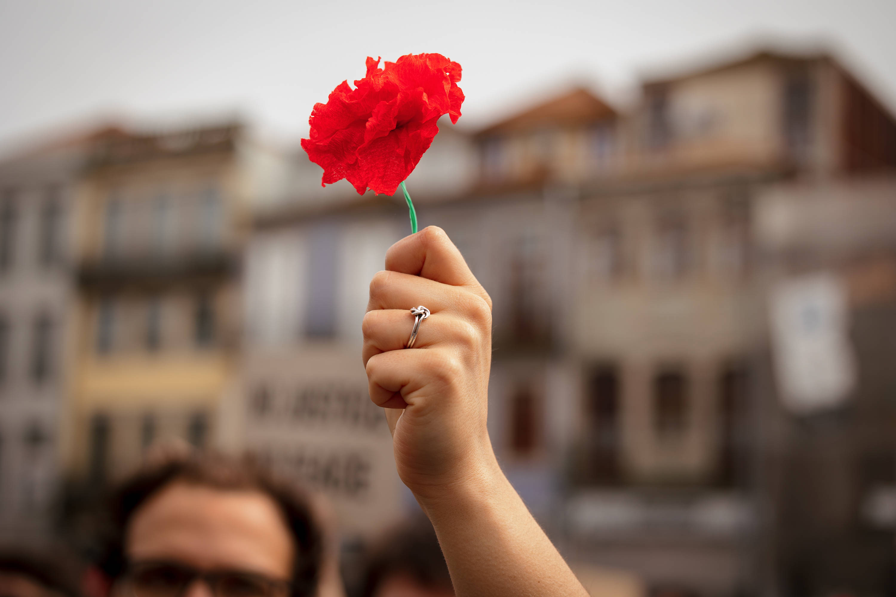 Weil sie die Soldaten in ihre Gewehrläufe steckten, wurde die Nelke zum Symbol der Revolution in Portugal 1974.