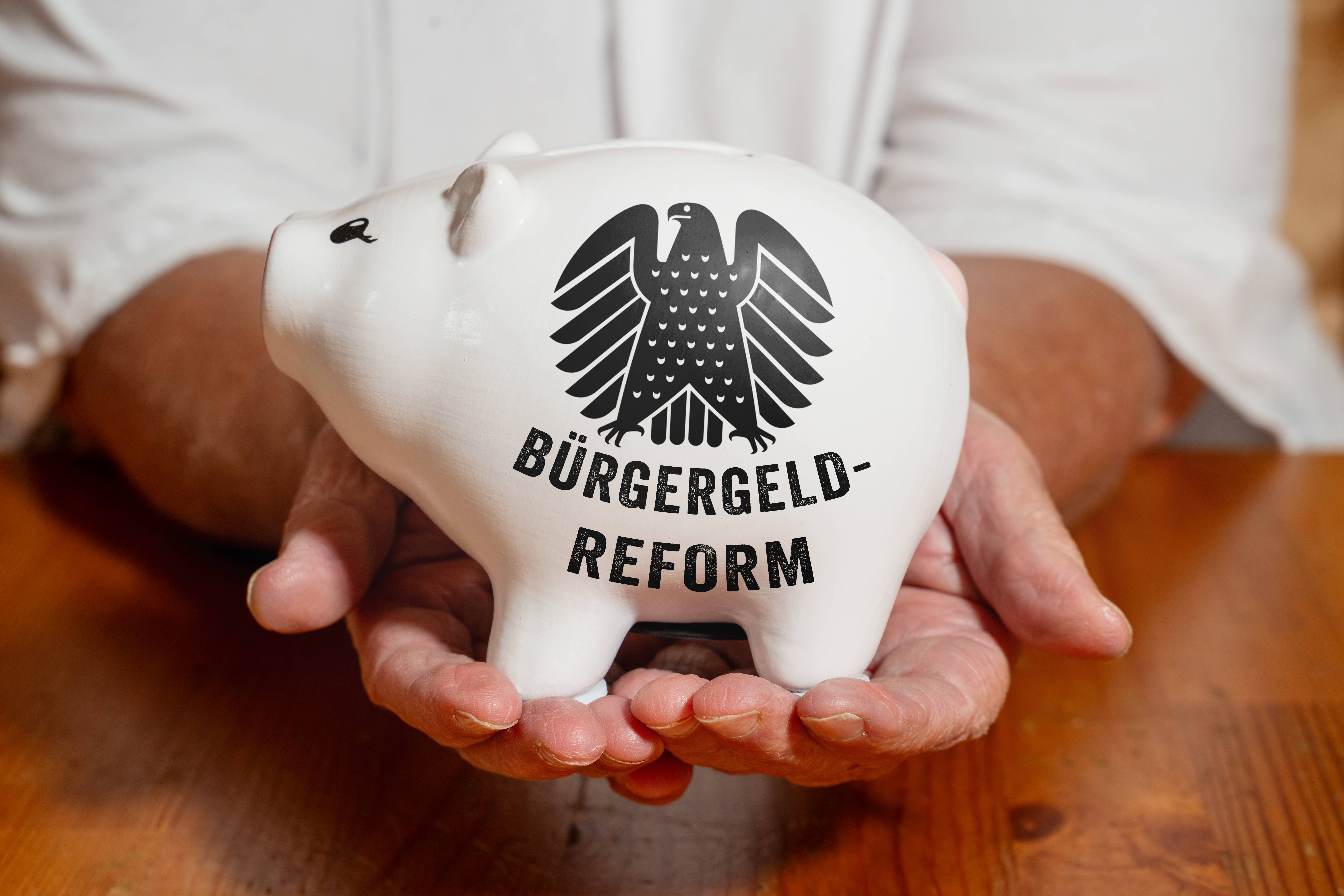 Hände halten ein weißes Sparschwein mit dem Bundesadler und der Aufschrift "Bürgergeldreform"
