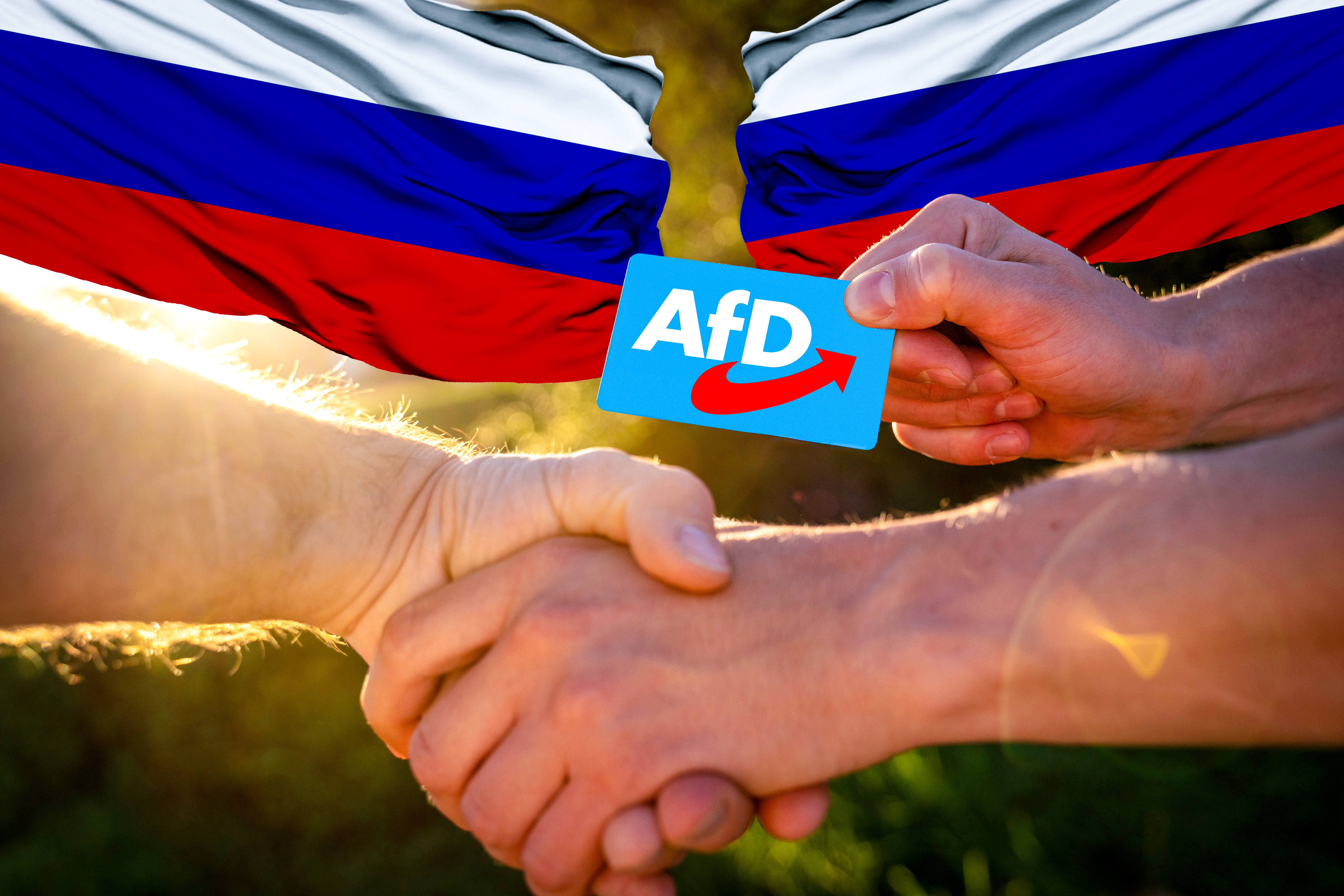 Hand in Hand: Die AfD und Russlands Führung (Symboldbild)