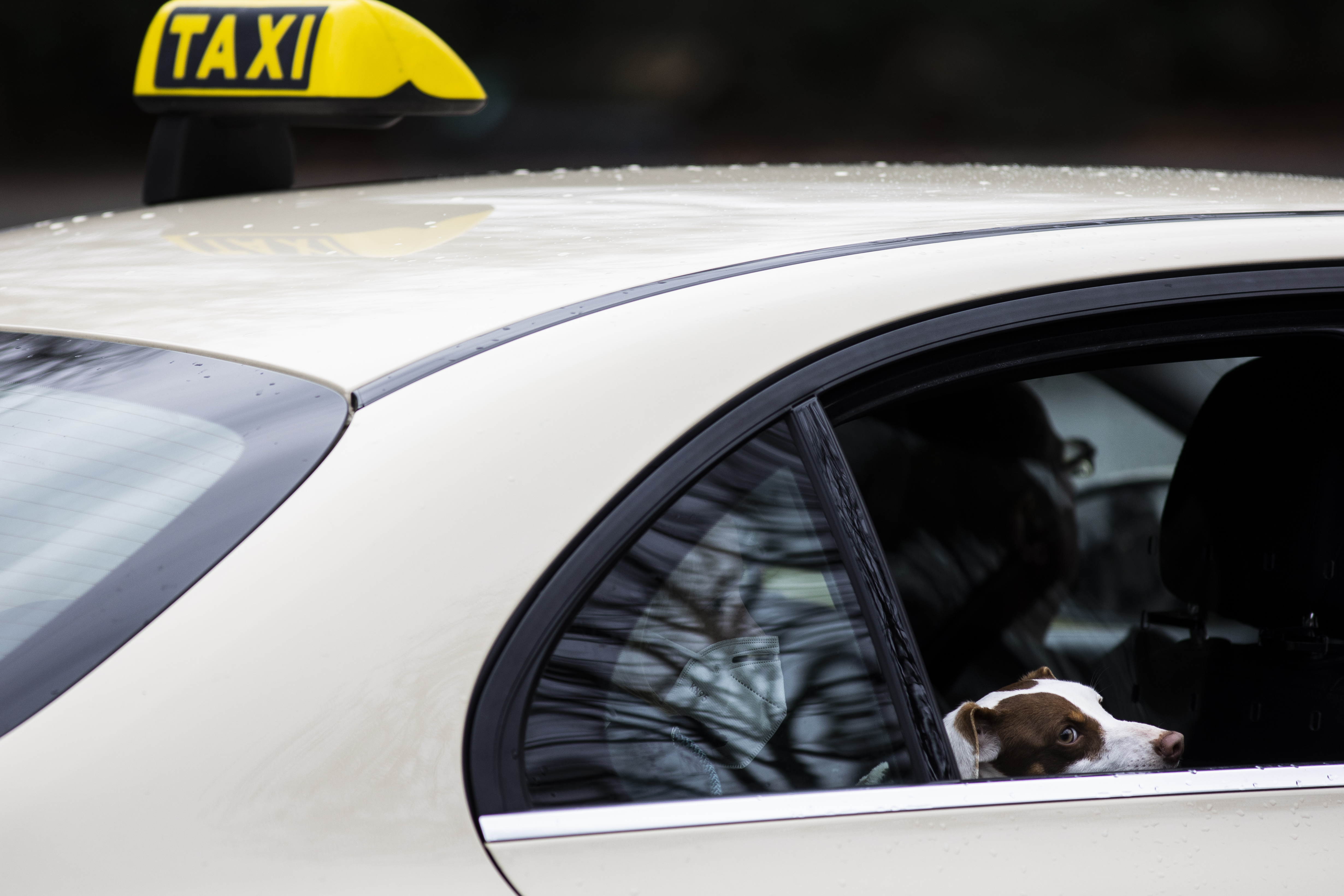 Für Taxis und Fahrdienste gilt seit Freitag ein neuer Rechtsrahmen.