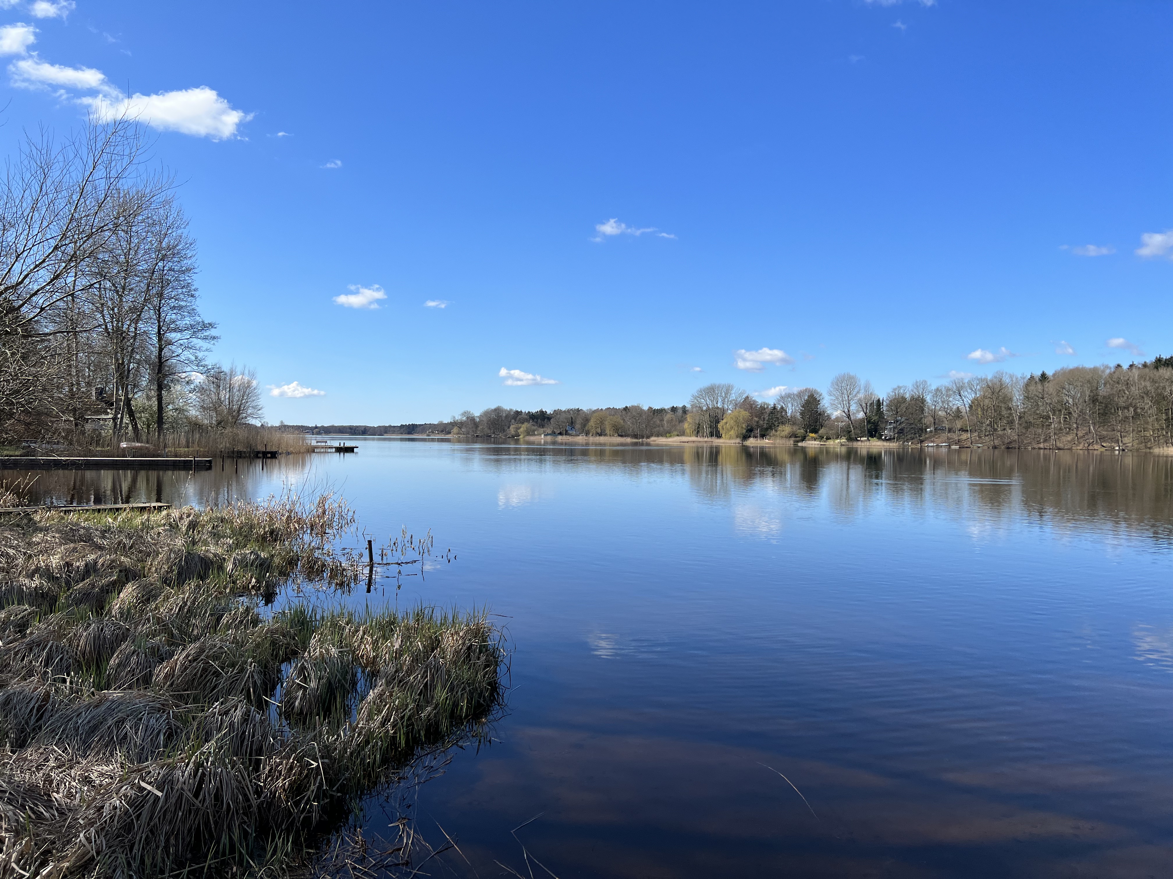 Am Brahmsee in Schleswig-Holstein verbrachten Loki und Helmut Schmidt viel Zeit. Hier startete auch das Experiment von „Lokis Urwald“.