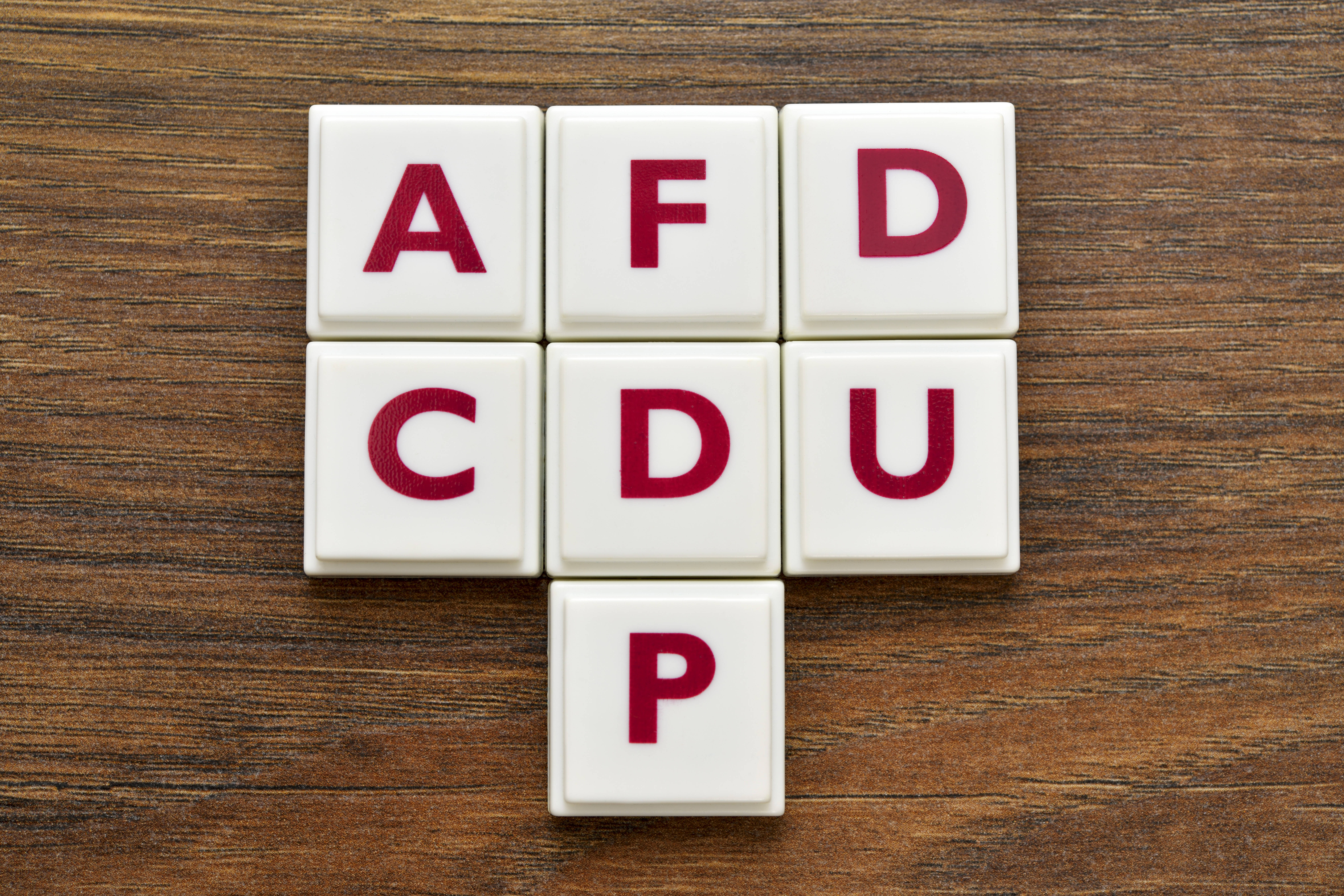 Arbeiten CDU, AfD und FDP erneut zusammen?
