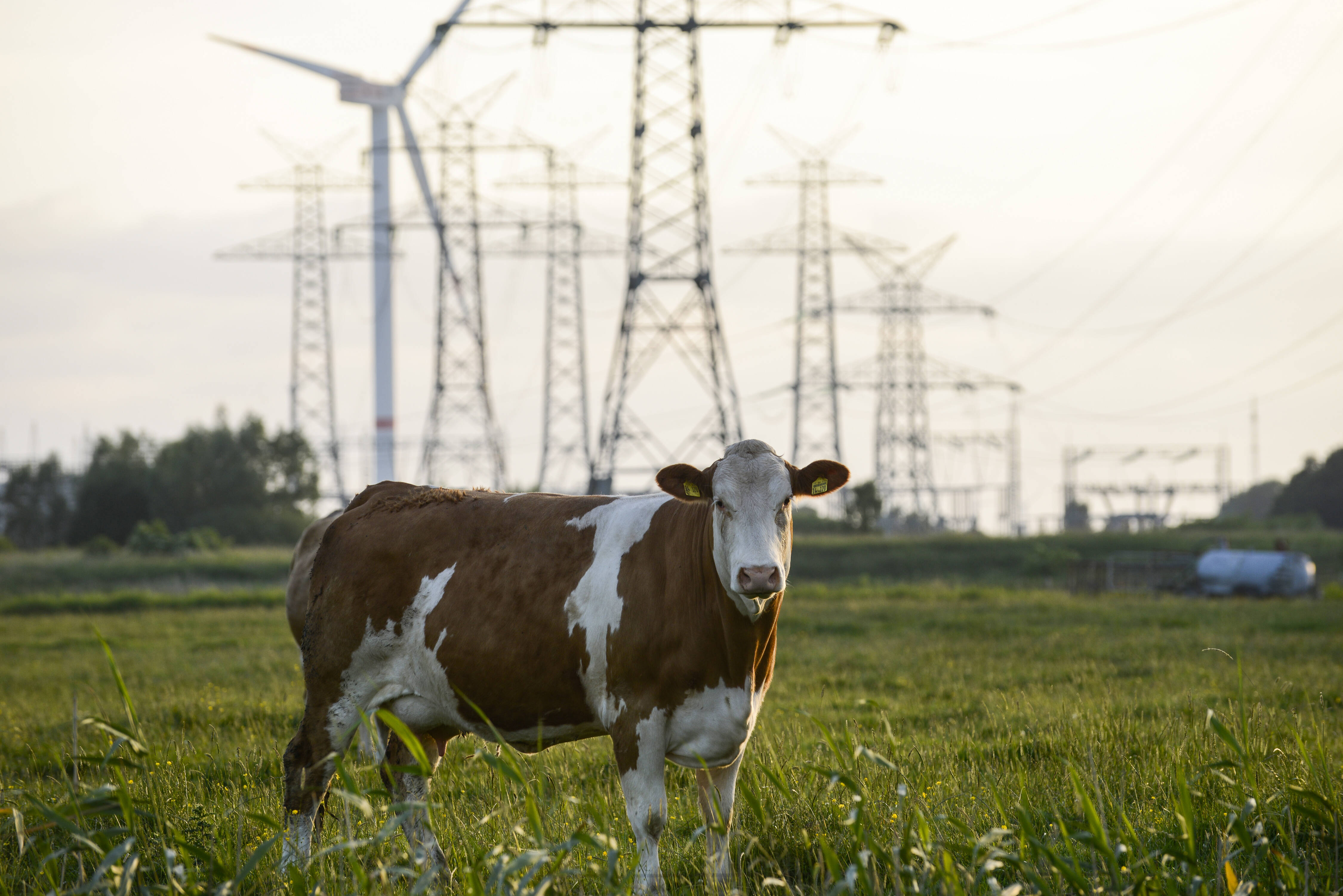 Stromerzeugung, Landwirtschaft, Naturschutz, Wohnungsbau: Die Fläche wird zur begrenzten Ressource der Transformation.