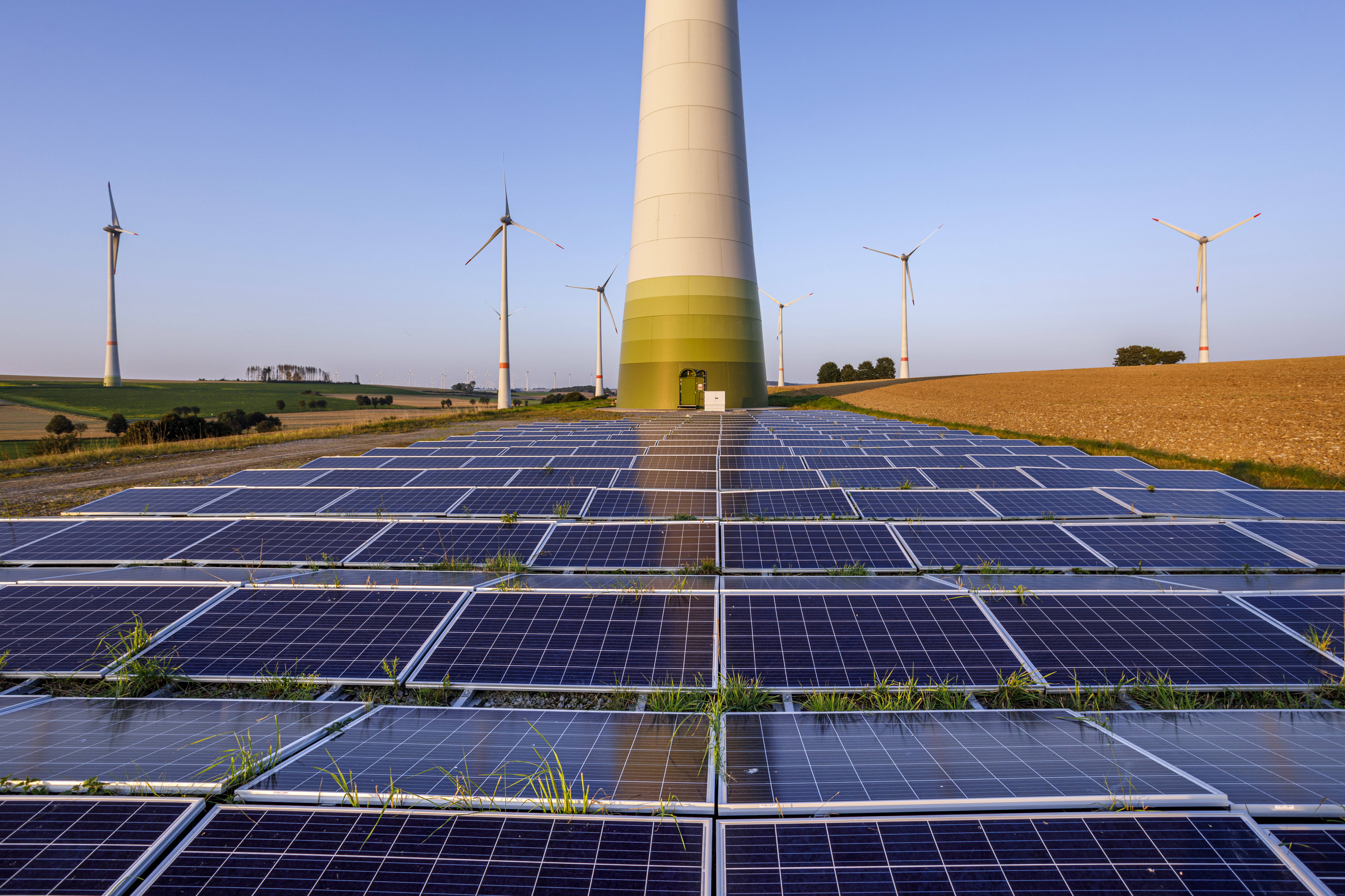 Der Ausbau der Erneuerbaren Energien hat für die Ampel-Koalition Vorrang.