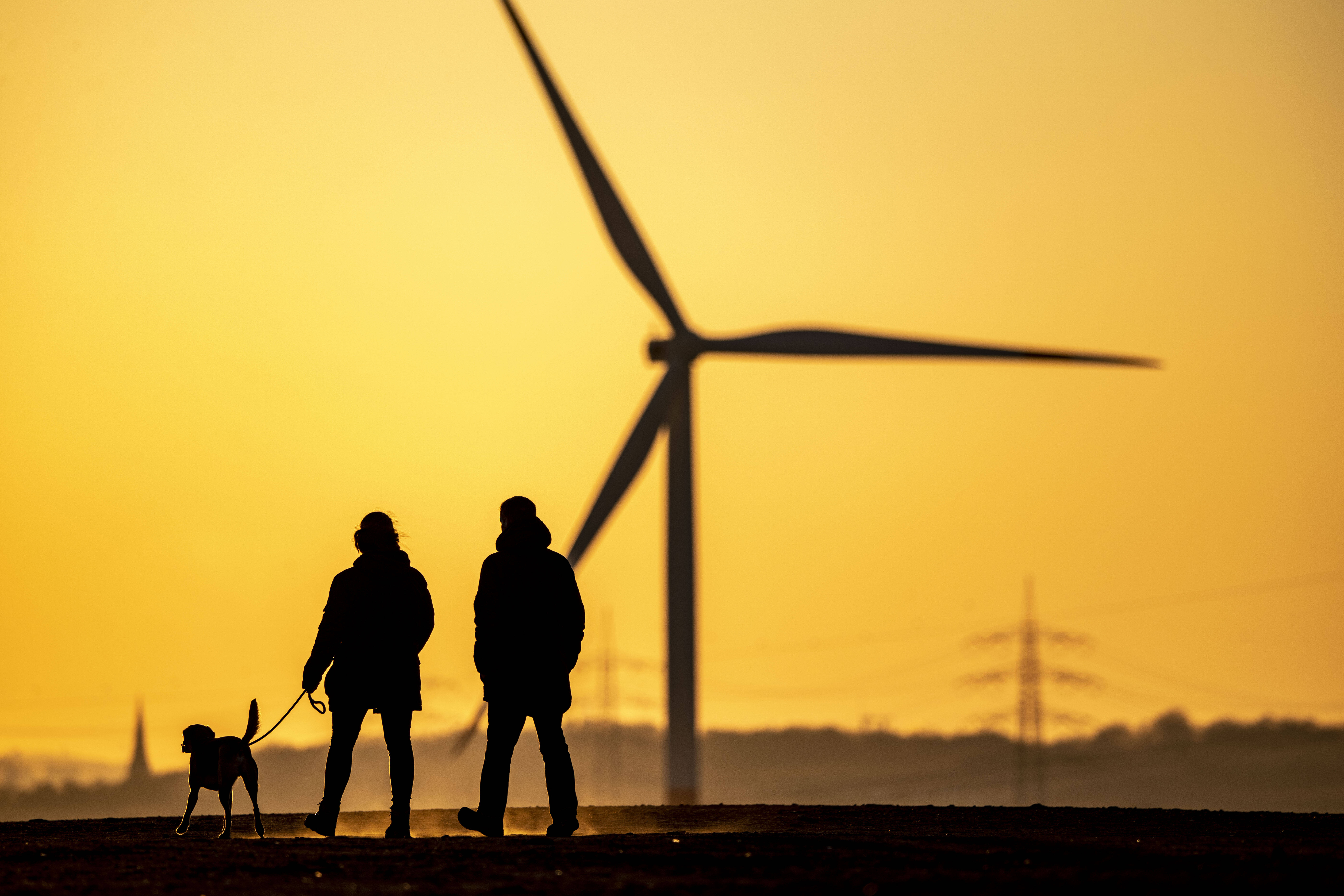 Die Zukunft gehört den Erneuerbaren Energien.