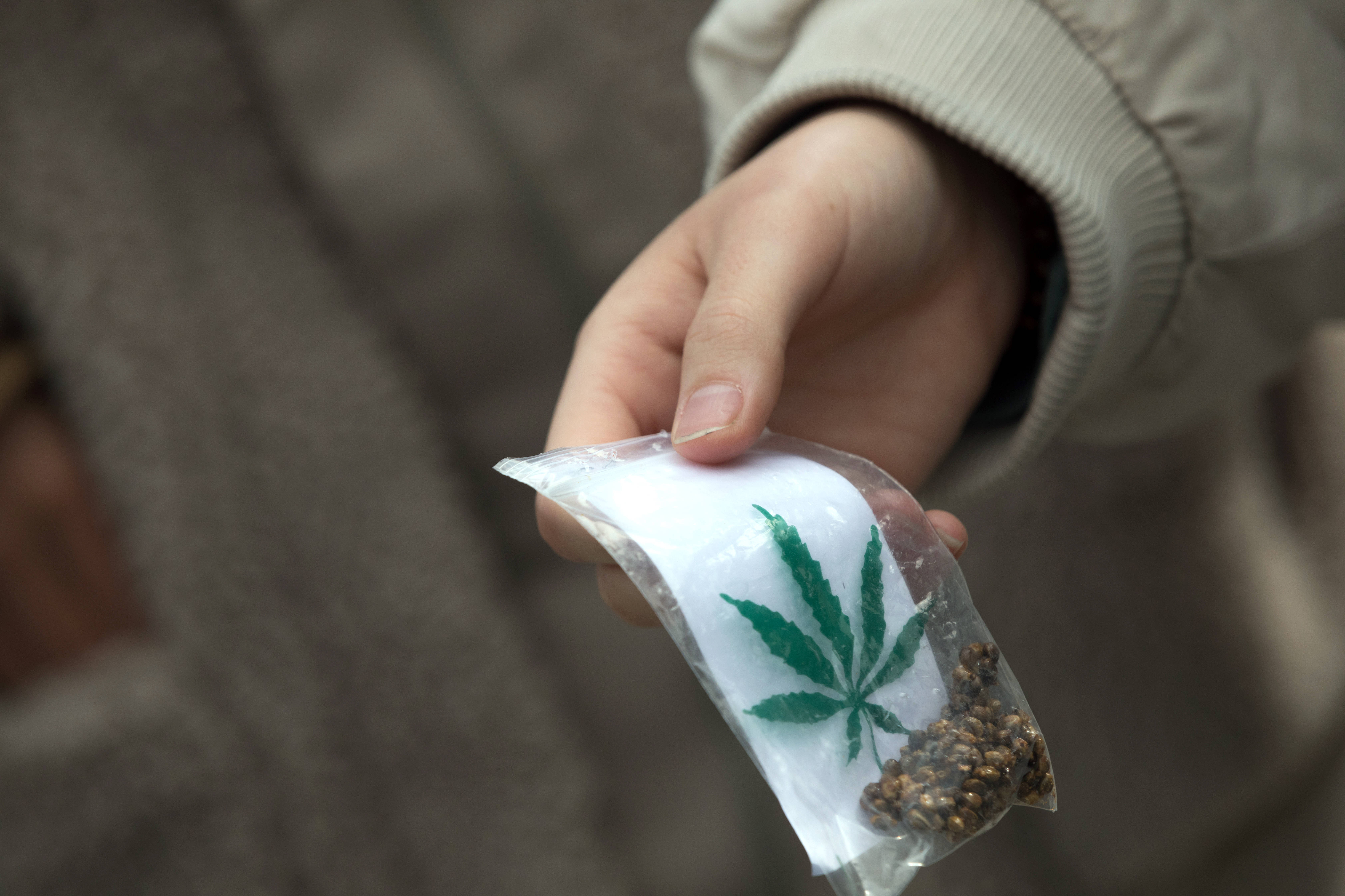 Noch in diesem Jahr soll es soweit sein: Cannabis wird legal. SPD-Innenpolitiker Sebastian Fiedler steht dem Vorhaben kritisch gegenüber, der Drogenbeauftragte Burkhard Blienert hingegen sieht mehr Vor- als Nachteile.