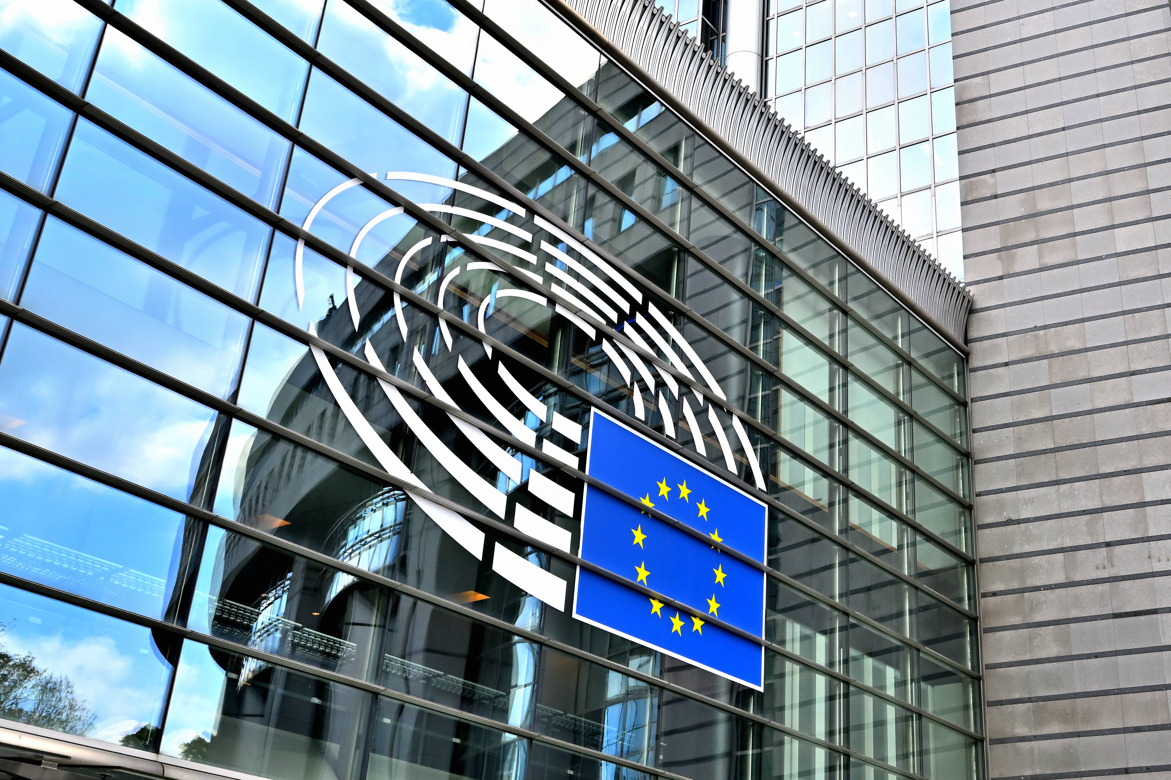 Die Europaparlamentarier*innen und die EU-Mitgliedsstaaten verhandeln in den kommenden Monaten über eine Asyl-Reform.