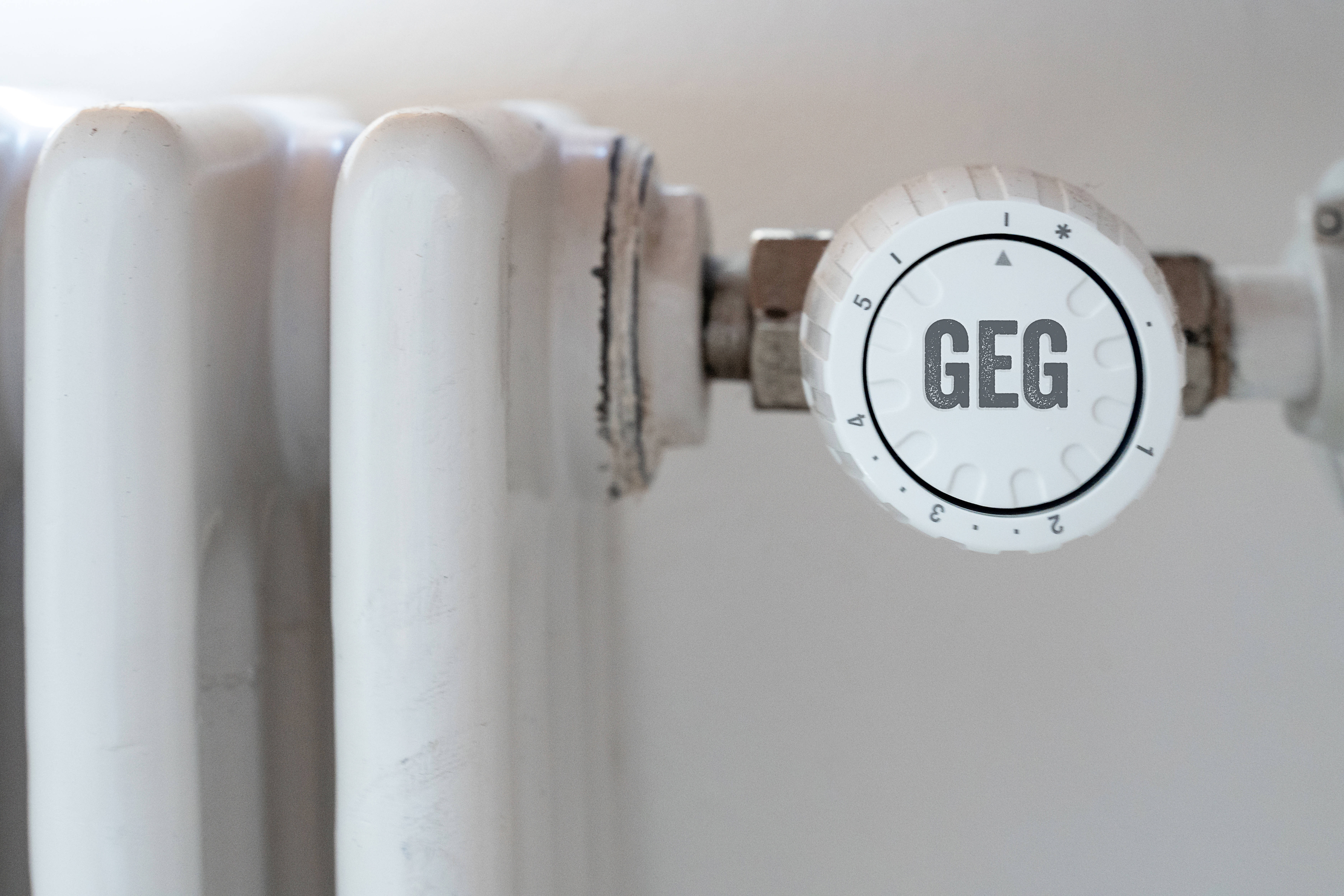 Das Heizen soll klimaneutral werden. Am Freitag stimmt der Bundestag über das Gebäudeenergiegesetz ab.