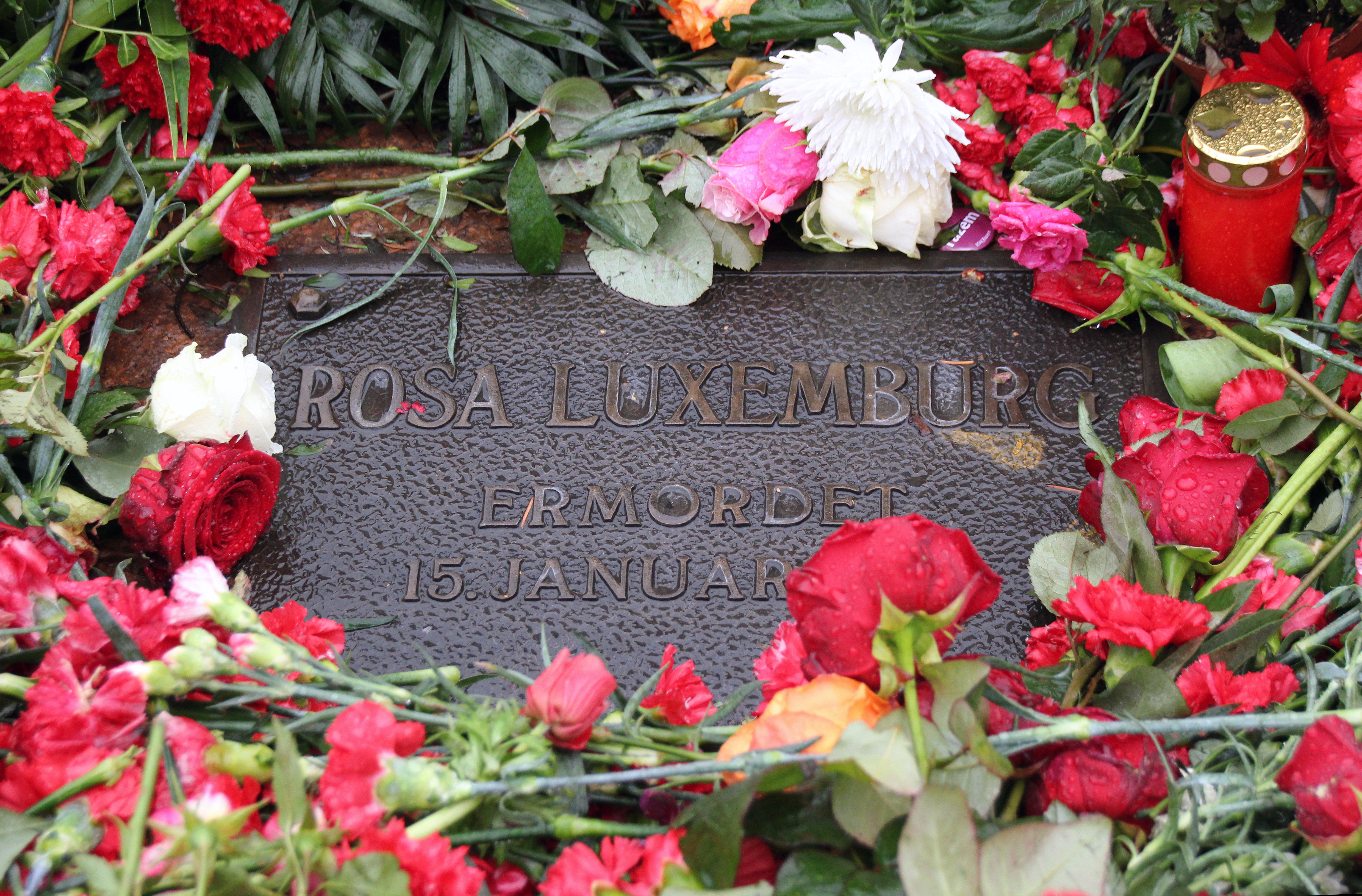 Die politische Verantwortung für die Ermordung Rosa Luxemburgs trägt Gustav Noske, meint der Politikwissenschaftler Tilman Fichter.