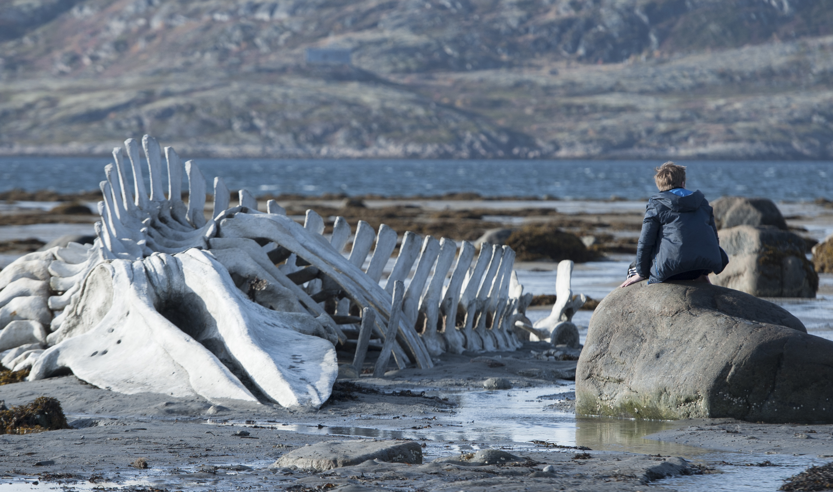 Szene aus Leviathan