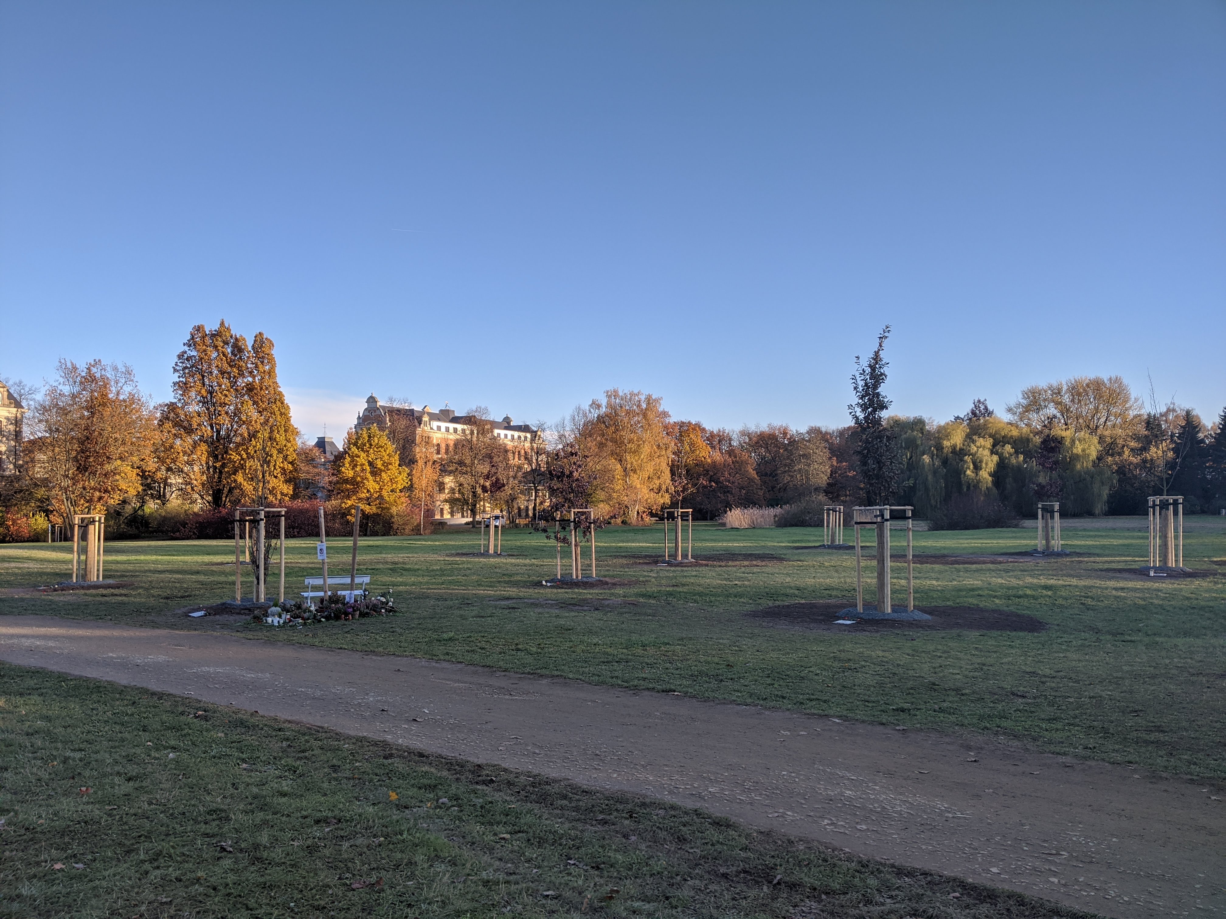 NSU-Gedenkstätte in Zwickau, Schwanenteichpark. Zehn Bäume sollen an die zehn Ermordeten erinnern. Unter jedem Baum gibt es eine Gedenktafel aus Stein. 
