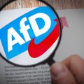 Die AfD stellt im Bundestag häufig Anfragen zu sicherheitsrelevanten Themen.